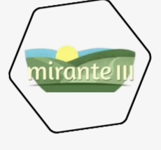 Mirante III